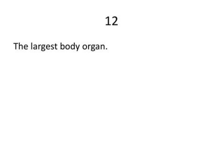 Unveiling The Largest Body Organ: The Exemplary Skin