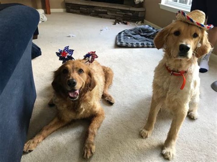 Breaking Cleveland Sports News From The Renowned Tony Grossi On Twitter