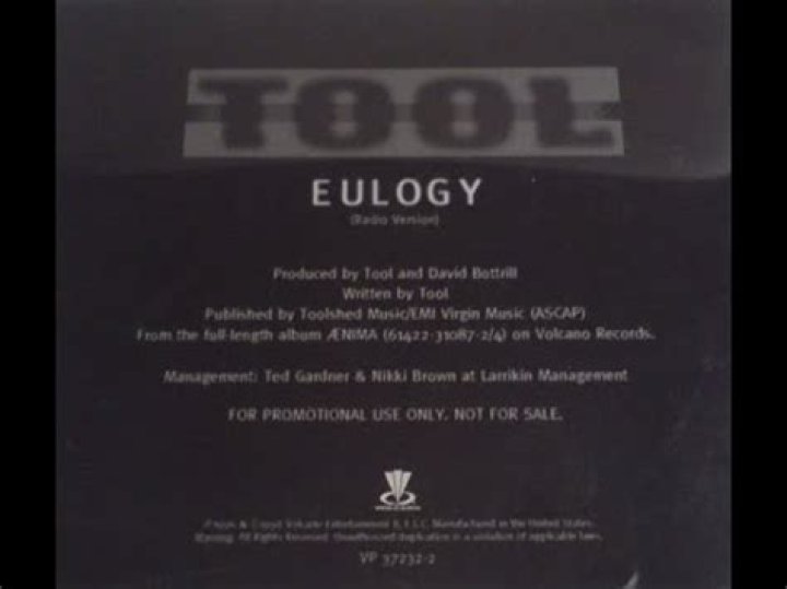Tool's Eulogy: An Exploration Of Its Haunting Lyrics
