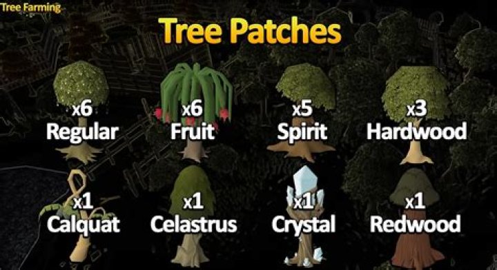 Best Tree Saplings OSRS: Grow Your Forest To Greatness