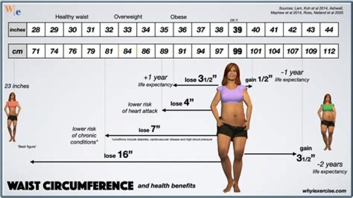 Ultimate Guide To Tylas Waist Measurement: Unveiling The Secrets