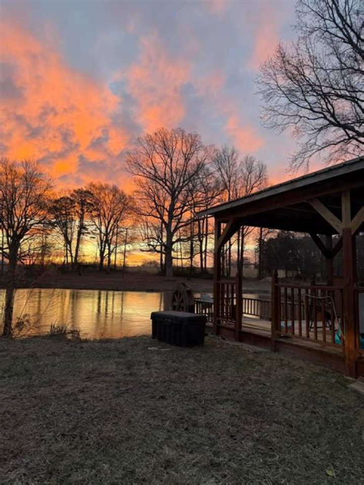 Meet Tyler Pennington: Midland, Texas' Renowned Real Estate Expert