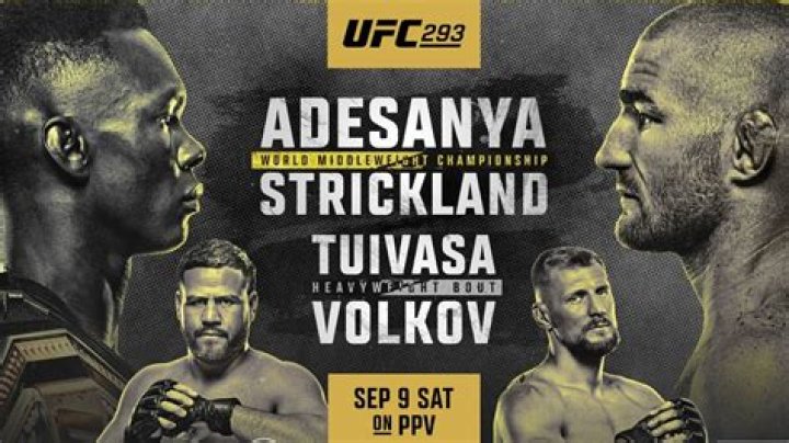 UFC 293 Payouts: Breaking Down The Fighter Purse