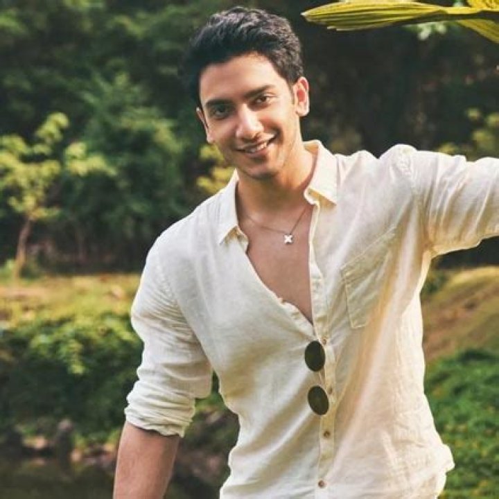 Prominent Indian Actor Vedang Raina - Comprehensive Wikipedia Profile