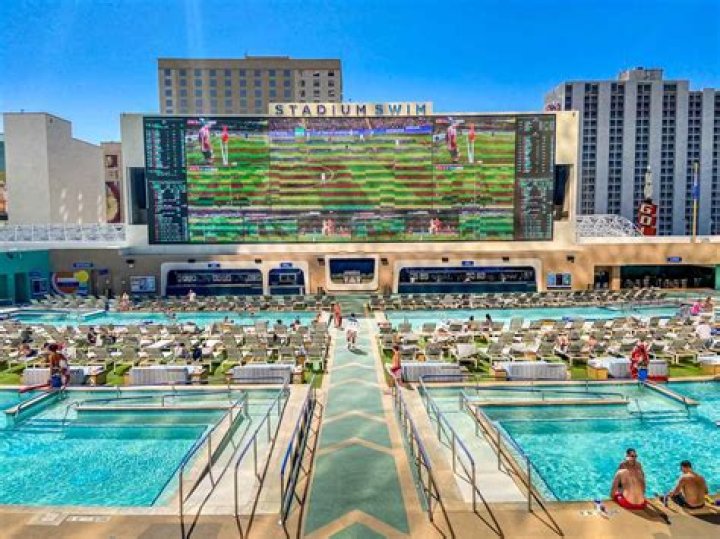 Ultimate Guide To Surviving The Vegas Survivor Pool Bonanza