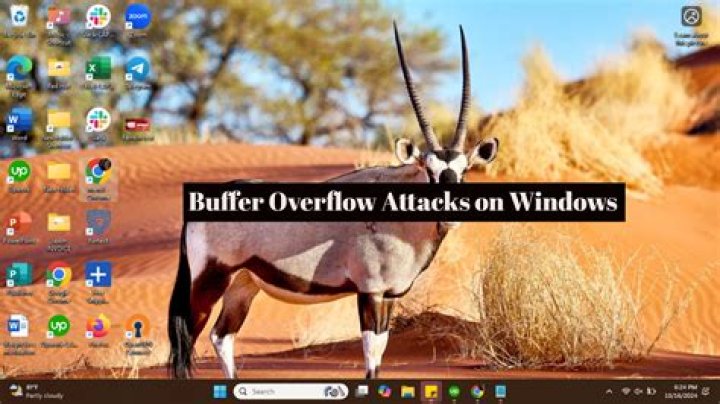 Effective Strategies To Safeguard Against Buffer Overflow Attacks