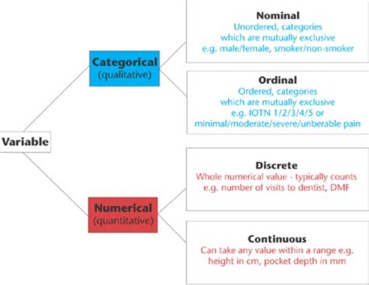 The Ultimate Guide To Understanding Ordinal Variables: Types, Uses, And More