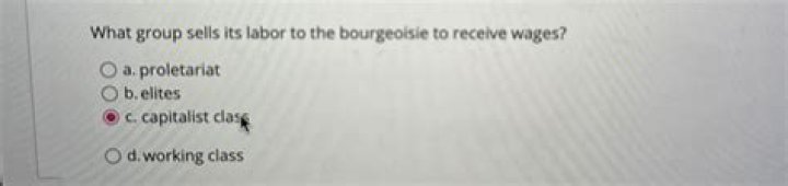 The Proletariat: Essential Laborers In The Capitalist System