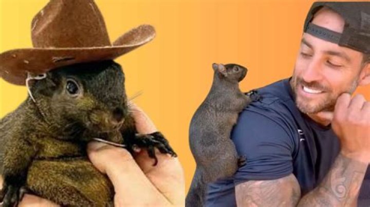 Pooh Shiesty's Fate Revealed: Tragic Story Of The Rising Rapper