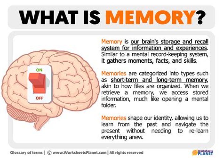 What Is Memory Rank: A Comprehensive Guide