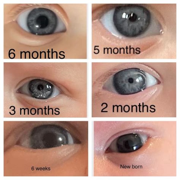 What Is The Baby Of The Year's Growing Net Worth?