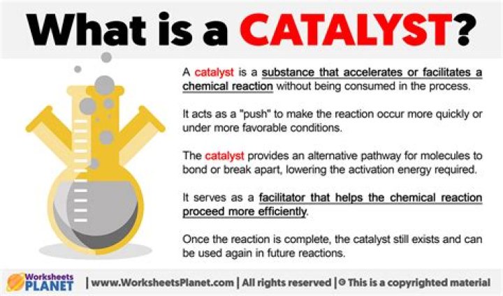 The Role Of Catalysts In Shaping Our Everyday Lives