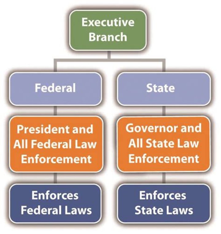 The Executive Branch: Understanding Its Vital Role In Government