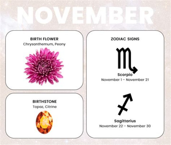 Discover The Zodiac Sign For November 20th