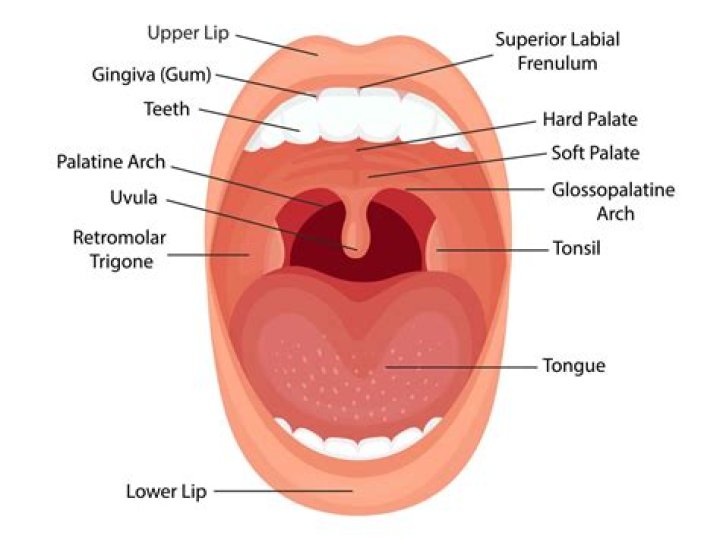 Understanding Assault And Battery Vs. Grievous Bodily Harm: Which Is Worse?