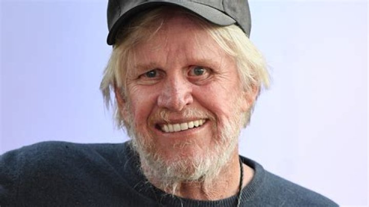 Gary Busey: His Health Concerns And Controversies