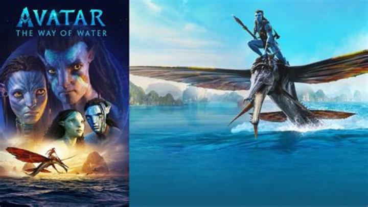 When Avatar 2 Swims To Disney: Dive Into The Sequel's Release Date