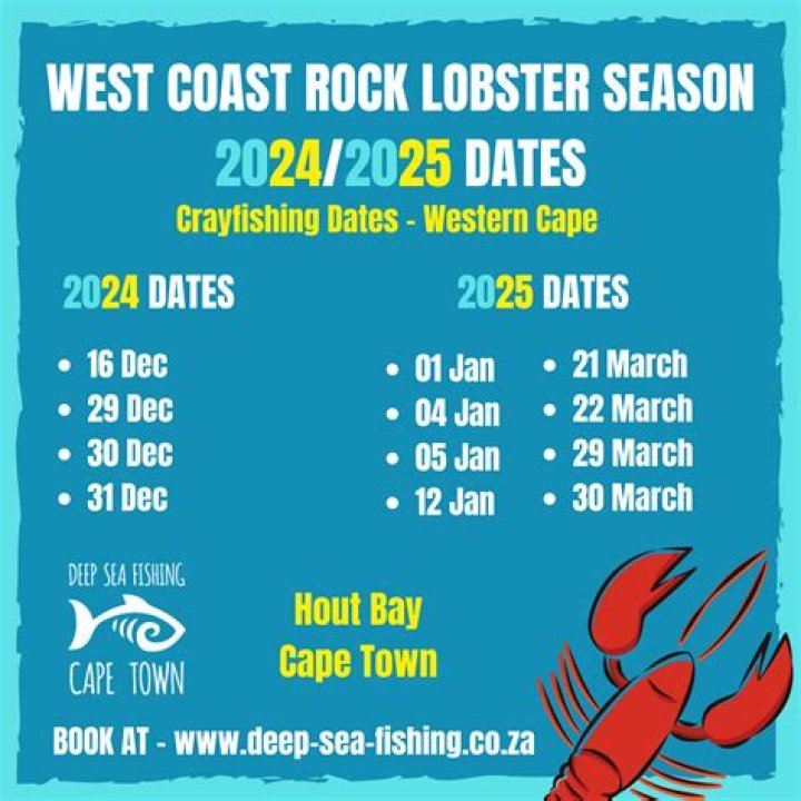 Timeline Of Rock Lobster Release