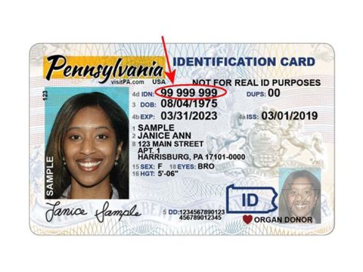 Find Your Driver's License Number: A Quick Guide