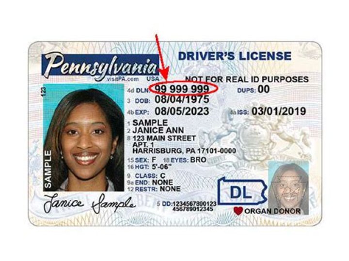 Locate Your Driver's License Number Easily - Guide