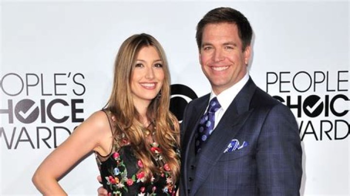 Insights Into Michael Weatherly's Marital Journey