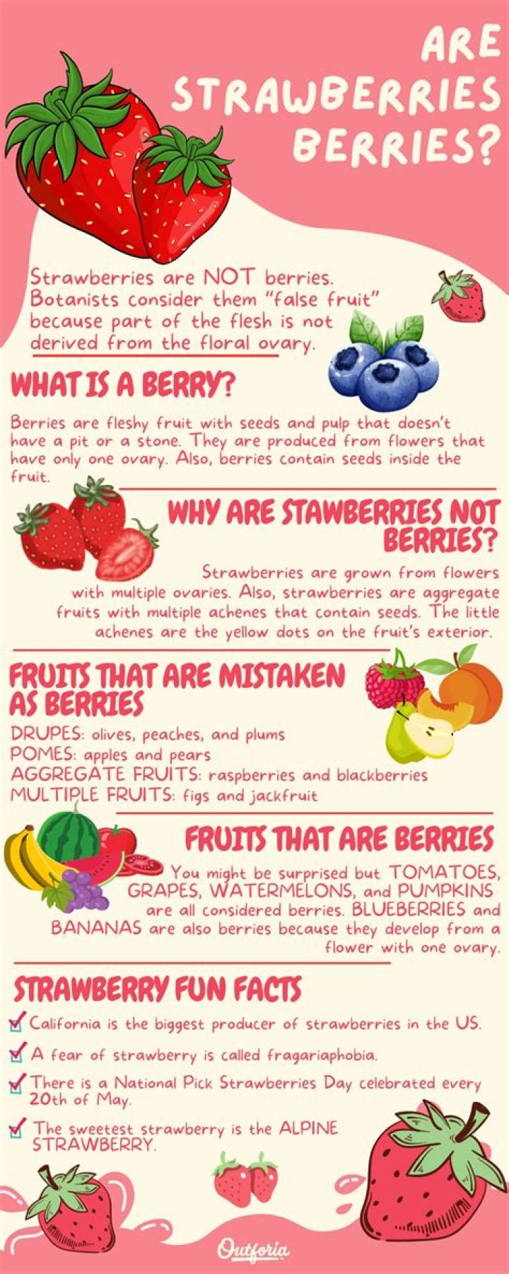 Unveiling The Curious Case: Why Is A Strawberry Called A Strawberry?