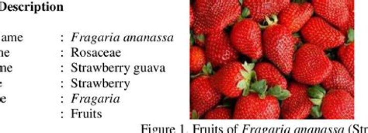 Why Did The Fruit Get The Name 