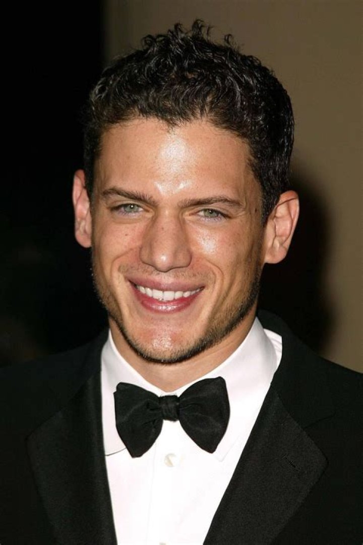 The Untold Truth Behind Wentworth Miller's Mysterious Wife