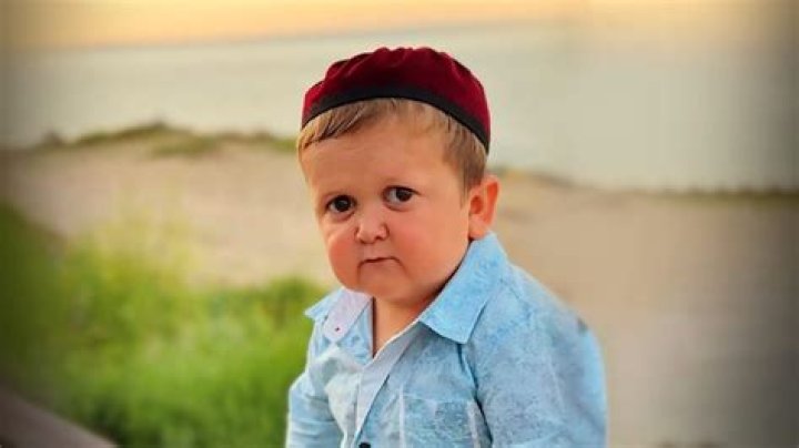 Will Hasbulla's Longevity: Exploring The Future Of The Internet Sensation