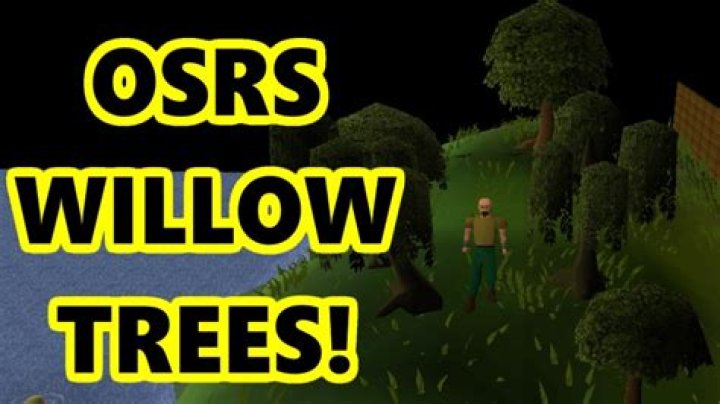 Complete Guide To Willow Farming In Old School RuneScape