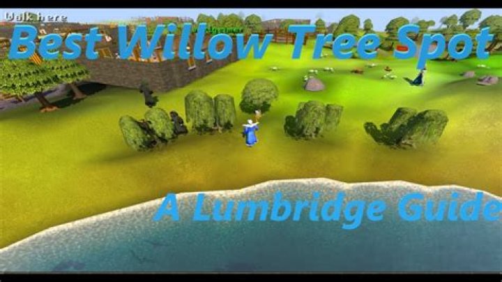 Essential Guide To Willow Trees In Old School RuneScape