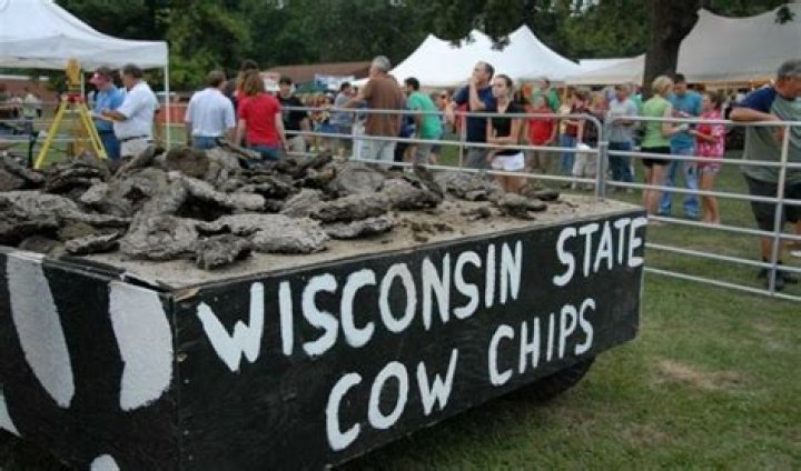 Wisconsin Cows: Unique And Meaningful Names For Your Bovine Friends