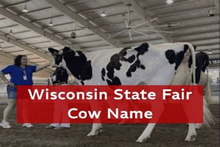 Wisconsin State Fair Bovine Blunder: Name Controversy Sparks Debate