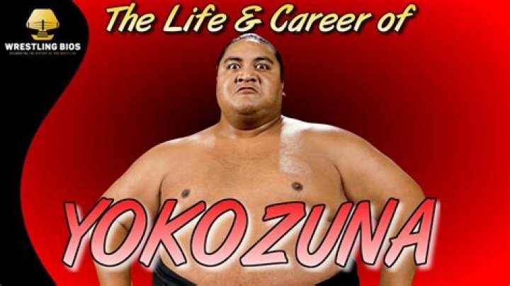 The Ultimate Guide To Understanding The Meaning Of Yokozuna